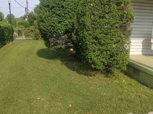 Vin Q.'s Bush Trimming service result