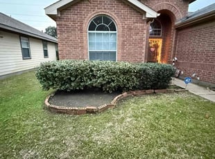 Ashley A.'s Bush Trimming service result