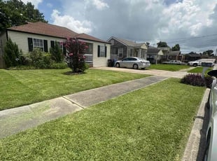 Bob N.'s grass maintenance service result