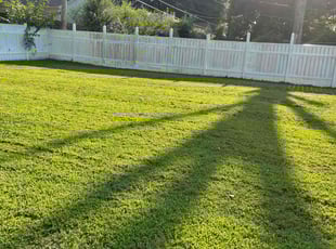 James D.'s lawn service service result