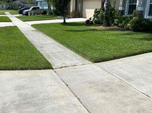 Angel A.'s turf care service result