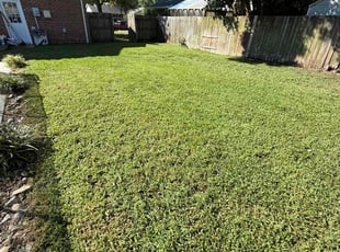 Celina H.'s lawn maintenance service result