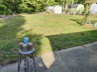 Michal O.'s grass maintenance service result