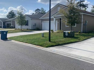 Georgina R.'s lawn care service result
