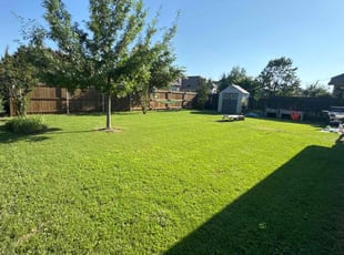Cara M.'s lawn service service result