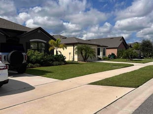 Josette U.'s grass cutting service result