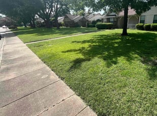 Chris C.'s grass maintenance service result