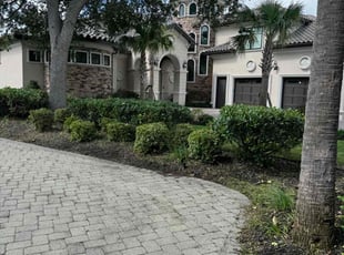 Danny M.'s Bush Trimming service result