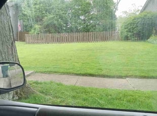 Terri W.'s lawn care services service result