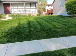 Amy N.'s grass cutting service result