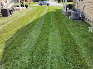 Mark F.'s turf maintenance service result