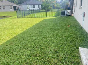 Hannah T.'s grass cutting service result