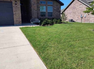 Stephen T.'s lawn care service result