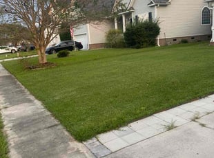 Charlotte C.'s turf maintenance service result