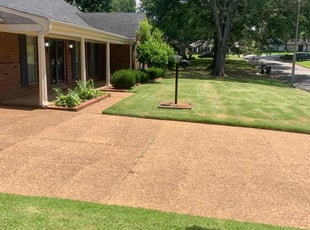 Brandon S.'s turf maintenance service result