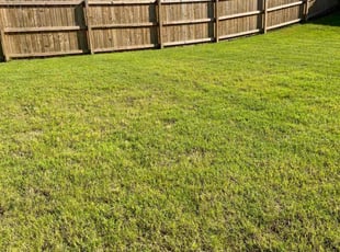 Ann K.'s lawn care service result