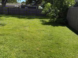 Melissa L.'s lawn care service result