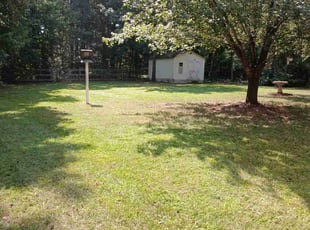 John R.'s turf care service result