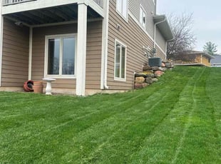 Joe D.'s lawn maintenance service result