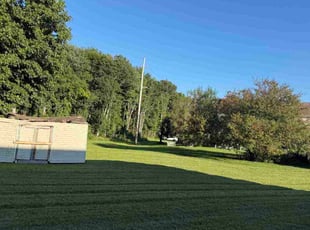 Karen M.'s lawn care service result