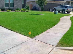 Victoria H.'s grass maintenance service result