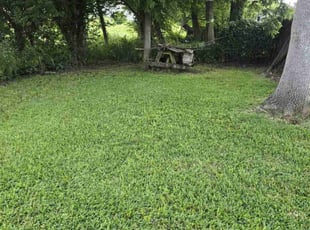 Allison C.'s lawn care services service result