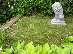 Pam B.'s turf maintenance service result