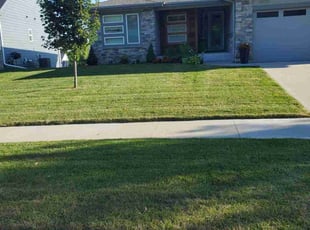 Mike D.'s lawn maintenance service result