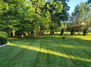 Andreas A.'s lawn care service result
