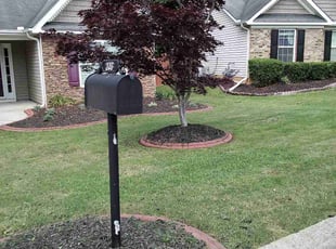 Dan M.'s lawn service service result