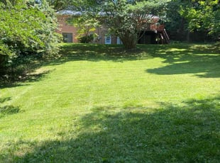 Chris P.'s turf maintenance service result