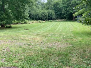 Paul V.'s lawn maintenance service result