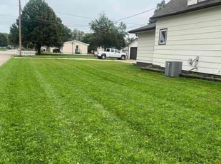 Lee S.'s turf maintenance service result