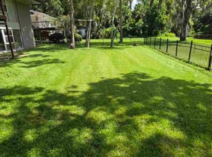 Christy K.'s lawn care service result