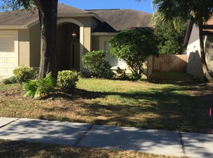 Dioyonna W.'s Bush Trimming service result