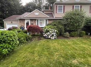 Amyo K.'s turf care service result