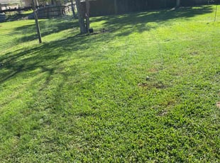 Steven R.'s lawn maintenance service result