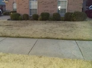 Victoria Y.'s Bush Trimming service result