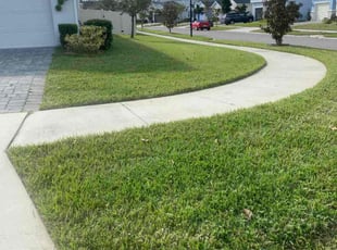 Armina F.'s turf maintenance service result