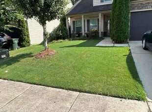 Bonita S.'s grass cutting service result