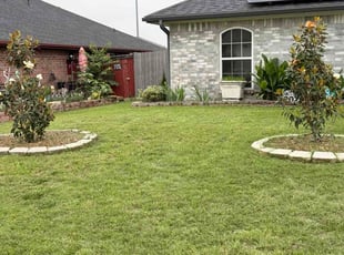 Cynthia P.'s grass cutting service result