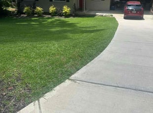 Lauren S.'s lawn care service result