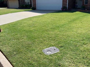 Michael C.'s turf maintenance service result