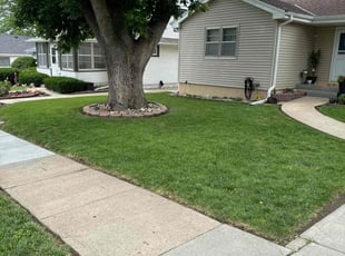 Stephane O.'s grass maintenance service result