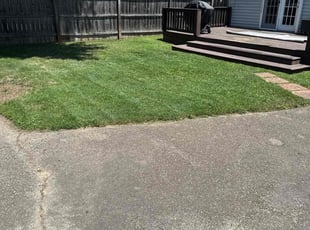 Larry H.'s lawn service service result