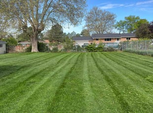 Michelle S.'s lawn care services service result