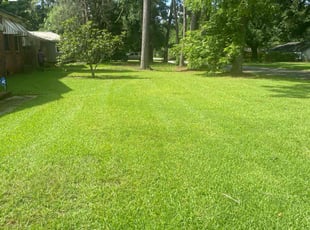 Giordana S.'s grass cutting service result