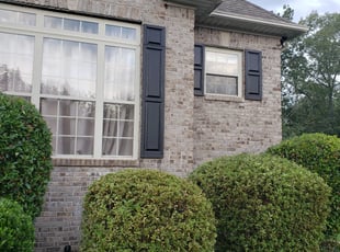 Zayhna D.'s Bush Trimming service result