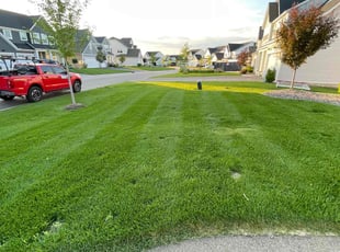 Thomas H.'s Weed Pulling service result