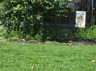 Debbrin L.'s grass maintenance service result